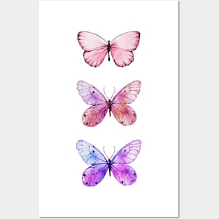 3 colorful butterflies Posters and Art